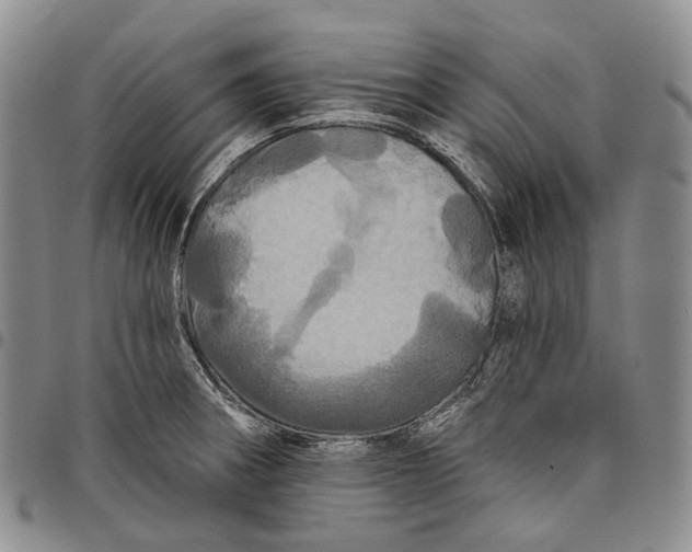 X0000097991282200804141133