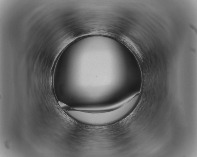 X0000097991284200804141133