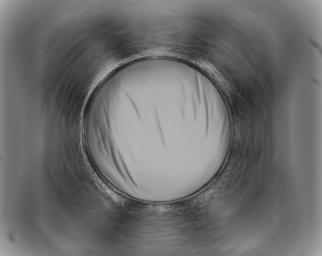 X0000097991286200804141133