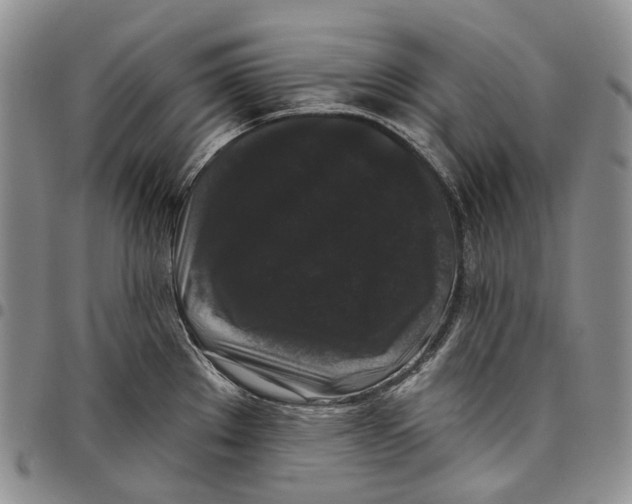 X0000097991289200804141133