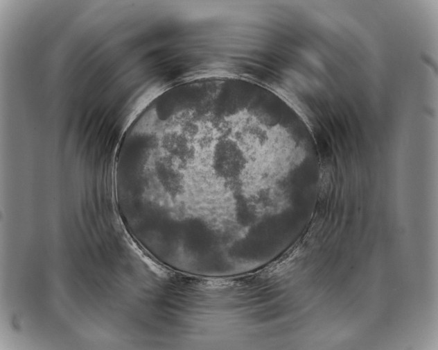 X0000097991290200804141133