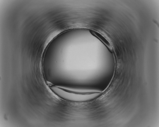 X0000097991293200804141133