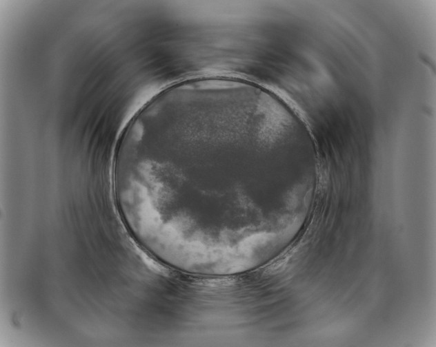 X0000097991294200804141133