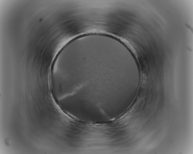 X0000097991295200804141132