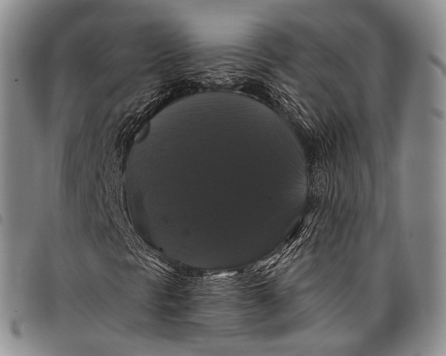 X0000097991297200804141132