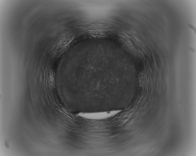 X0000097991298200804141132