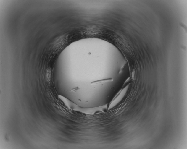 X0000097991299200804141132