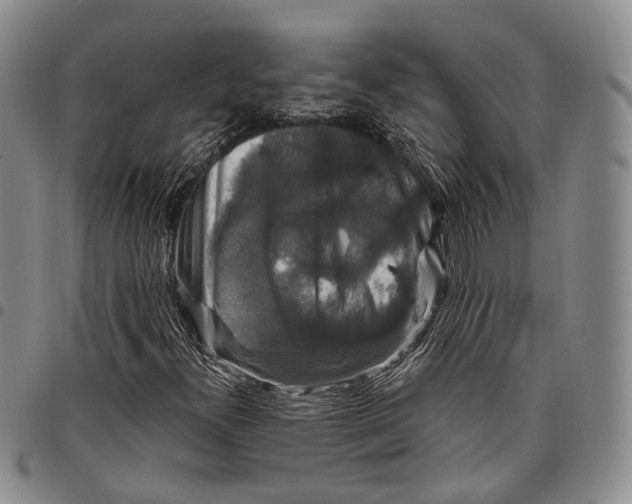 X0000097991300200804141132
