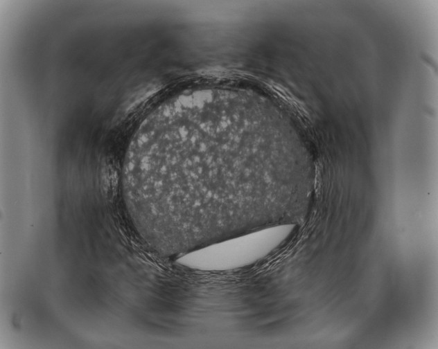X0000097991302200804141132