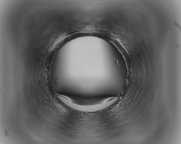 X0000097991304200804141132