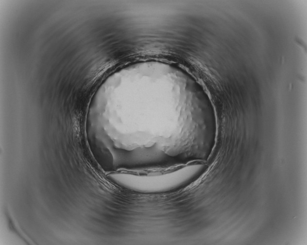 X0000097991305200804141132