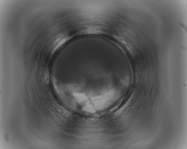 X0000097991306200804141132