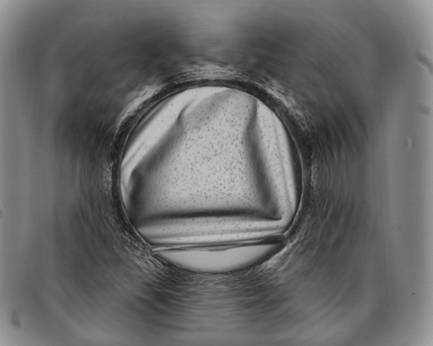 X0000097991309200804141132