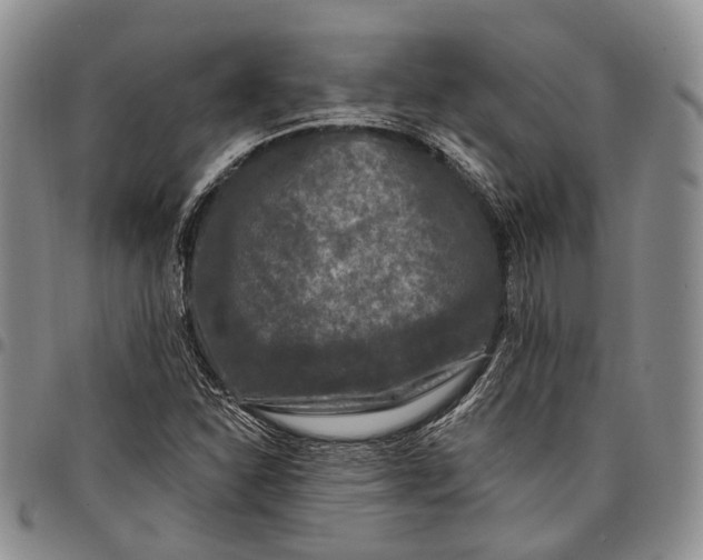 X0000097991310200804141132