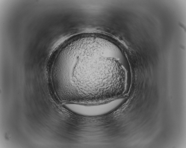 X0000097991311200804141132