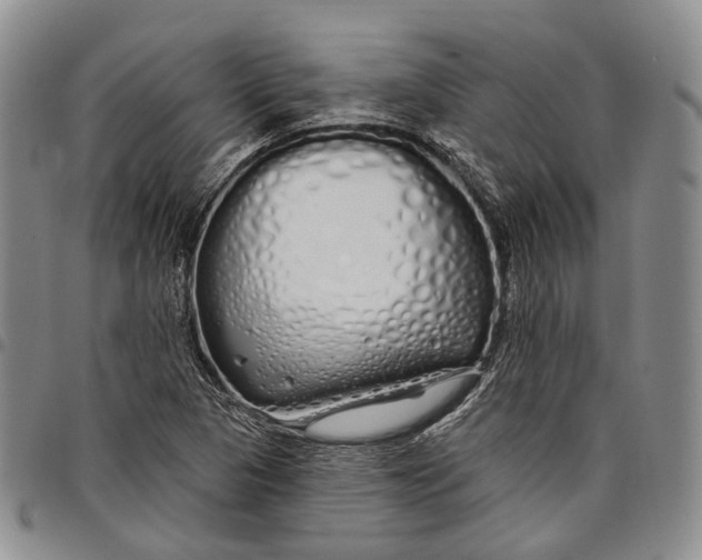 X0000097991313200804141132