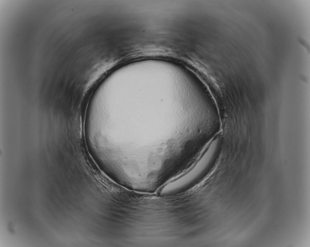 X0000097991317200804141132
