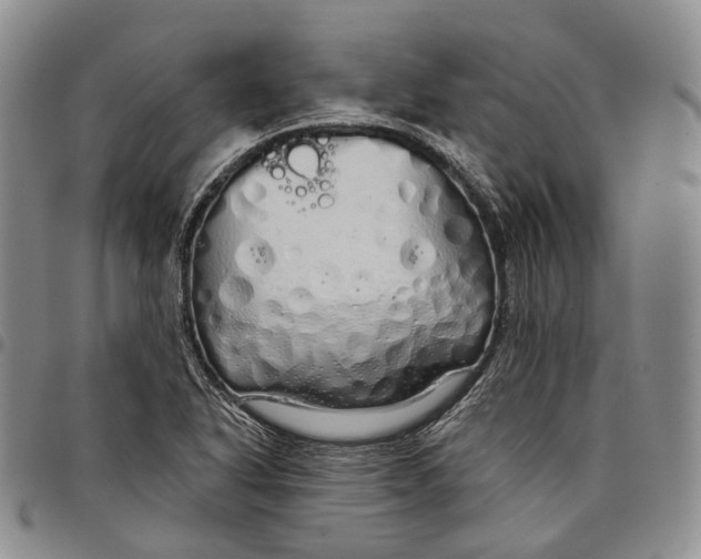 X0000097991318200804141132