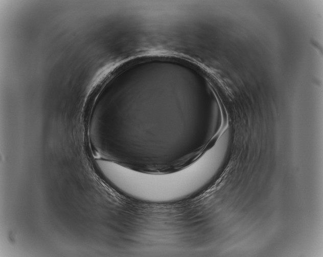 X0000097991319200804141132