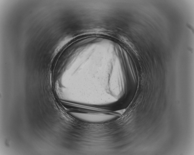X0000097991320200804141132