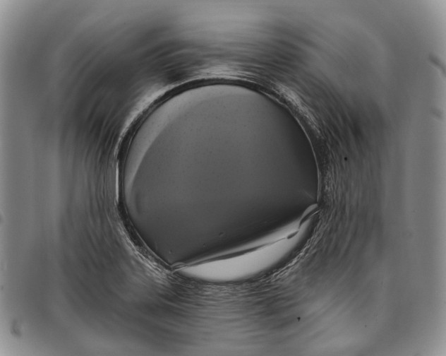 X0000097991323200804141132
