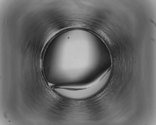 X0000097991324200804141132