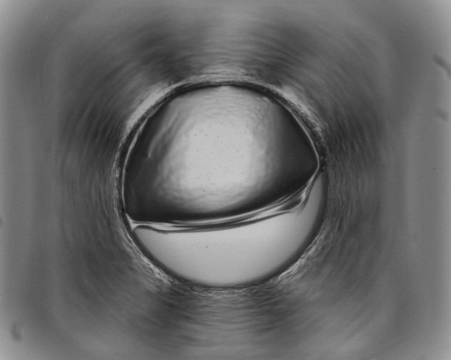 X0000097991325200804141132