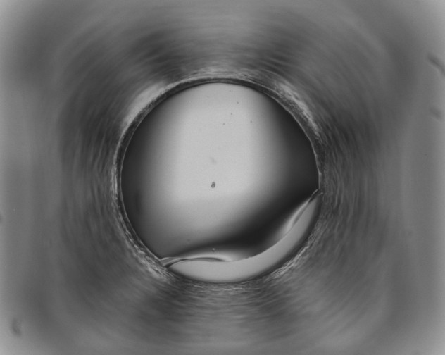 X0000097991328200804141132