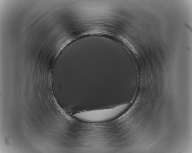 X0000097991329200804141132