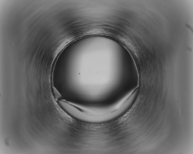 X0000097991330200804141132