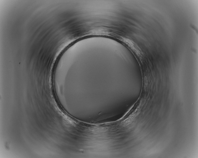 X0000097991331200804141132