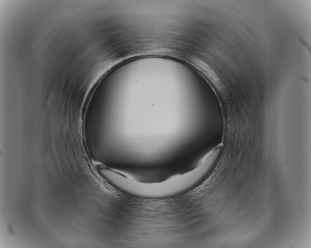 X0000097991332200804141132