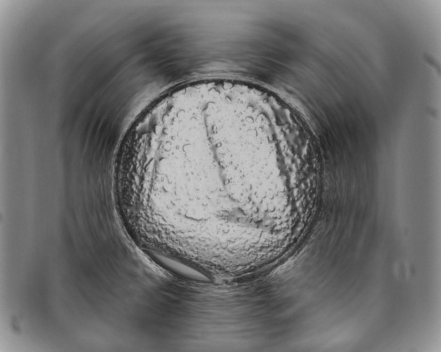 X0000097991333200804141132