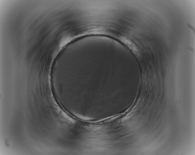 X0000097991334200804141132