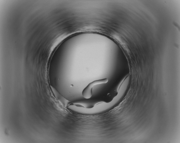 X0000097991336200804141132