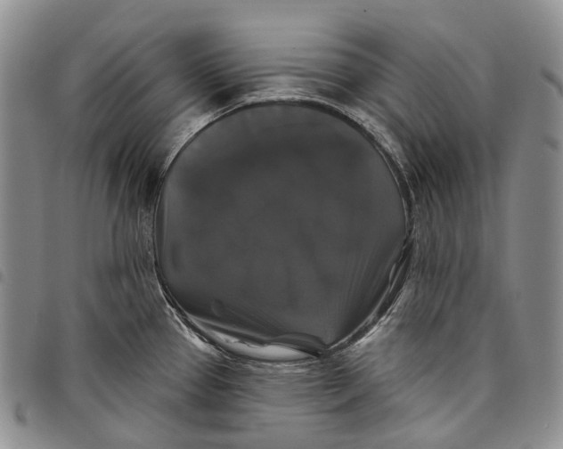 X0000097991337200804141132