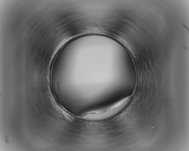 X0000097991339200804141132