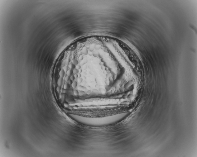 X0000097991341200804141132