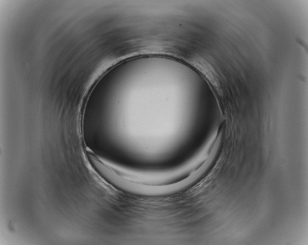 X0000097991342200804141132