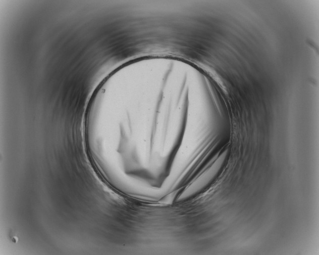 X0000097991343200804141132