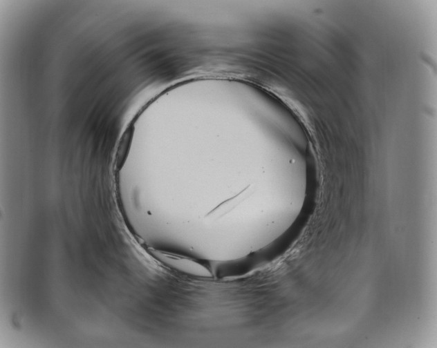 X0000097991344200804141132