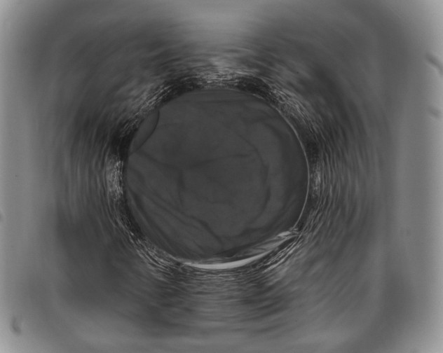 X0000097991346200804141132
