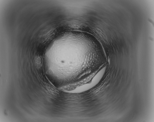 X0000097991347200804141132