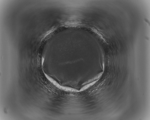 X0000097991350200804141132