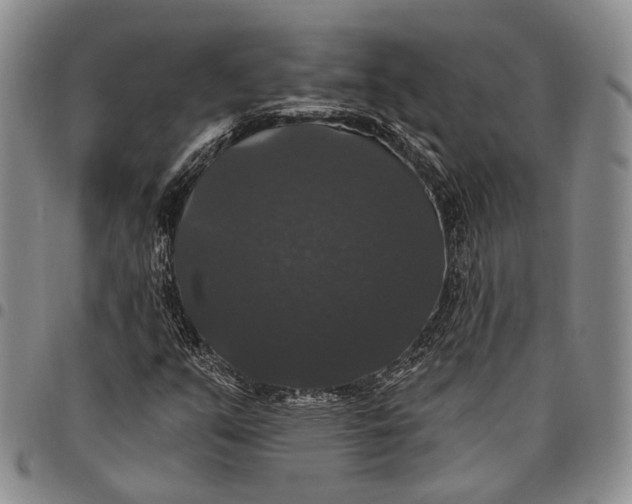 X0000097991351200804141132