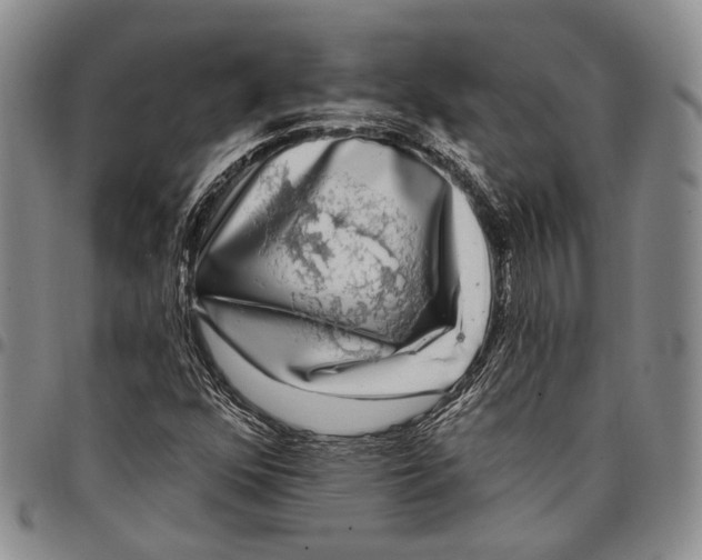 X0000097991352200804141132