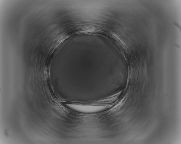 X0000097991353200804141132