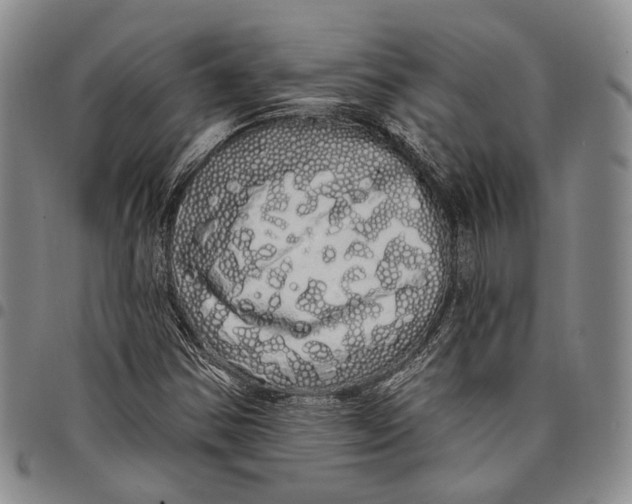 X0000097991354200804141131