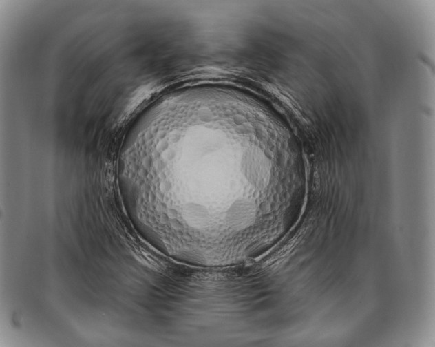 X0000097991355200804141131