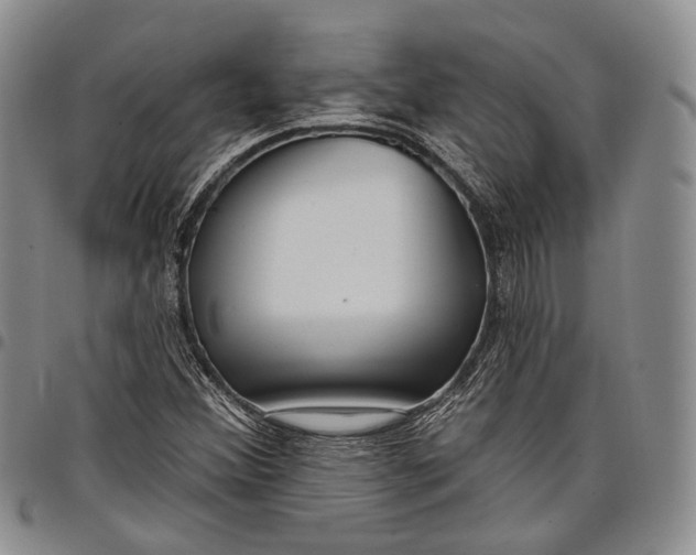 X0000097991356200804141131